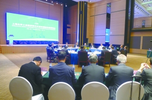 上海化工区咨询国际专家