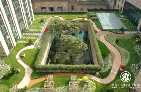 自主研发 郑赛集团撬动未来梦想的“支点”