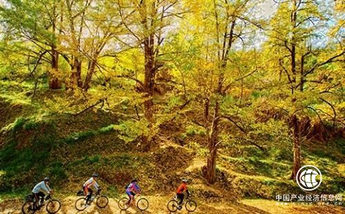 福建尤溪：好风景为农民带来好“钱景”