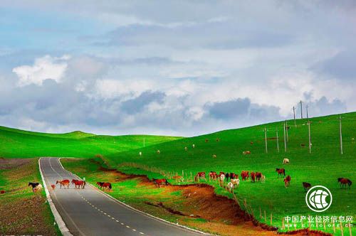 内蒙古：投资兴业的“绿地”