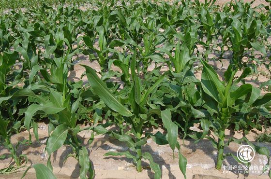 山西省出台政策加快有机旱作农业发展