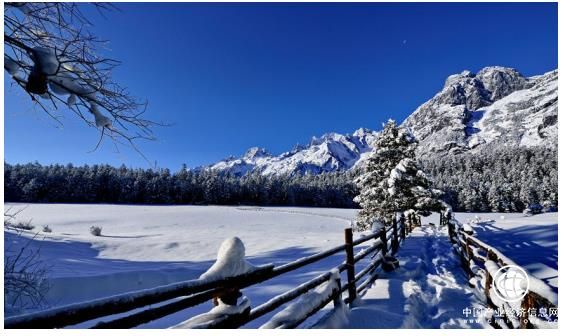 金云卡：为了遇见未知的自己