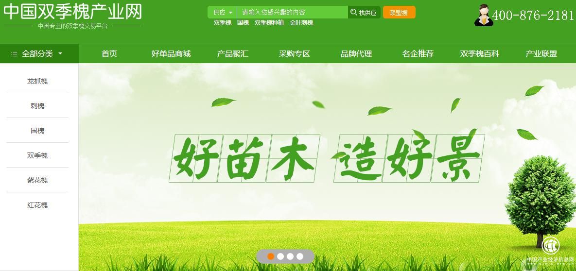 「网库产业带」“互联网+”双季槐 盐湖农民致富新路子