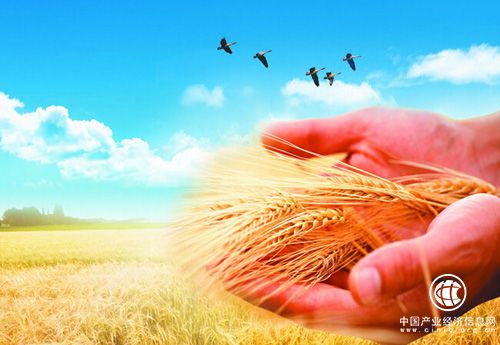 加强川黑两省粮食产销协 作打造黑龙江好粮油工程