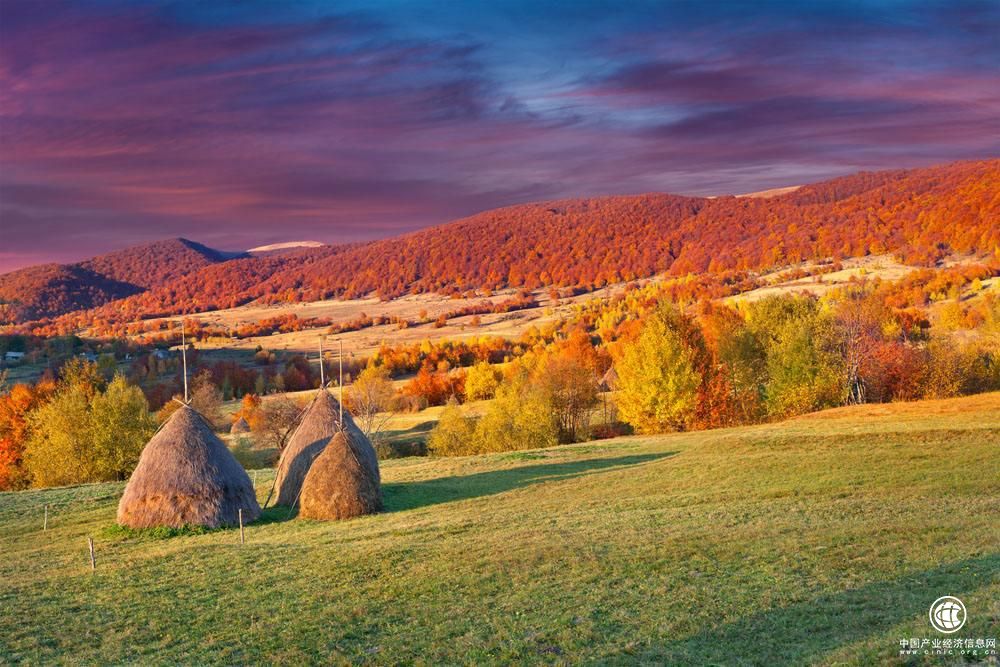 隆基泰和控股周密部署正在积极上市