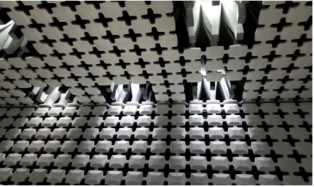 泰尔终端实验室潘娟：IFAA联盟的诞生有利于生物识别市场的良性发展