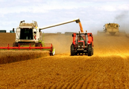 推进供给侧结构性改革 加快粮食行业转型发展