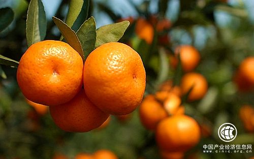 “中国桔乡·水韵融安”广西融安赴太原推介文旅产业