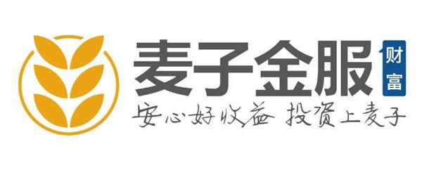 麦子金服：科技绽放金融之美