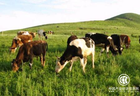 内蒙古农畜产品绿色发展见成效
