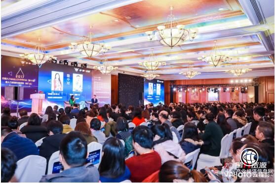 佩琪集团荣膺“2017中国人力资源先锋服务机构”