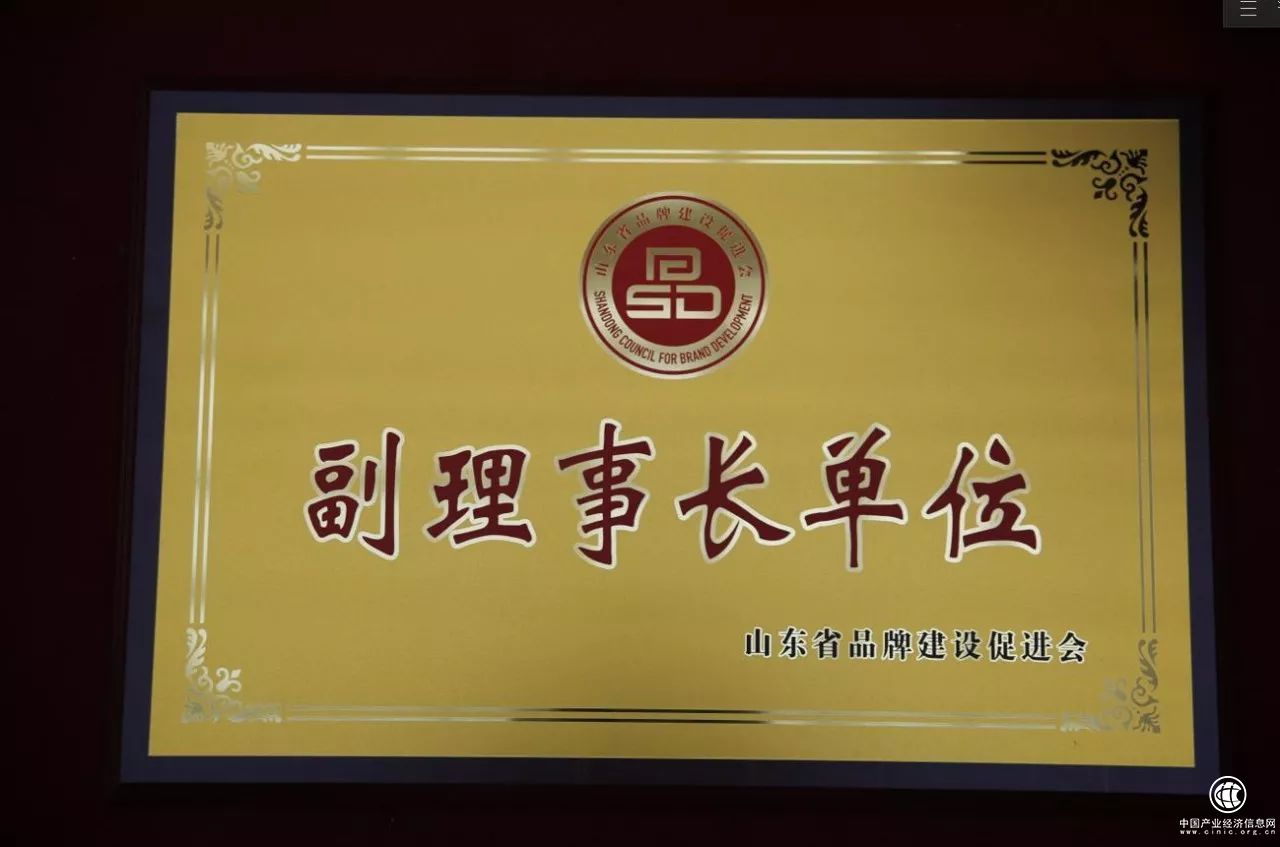 山东省品牌建设促进会成立大会召开_云媒股份当选副理事长单位