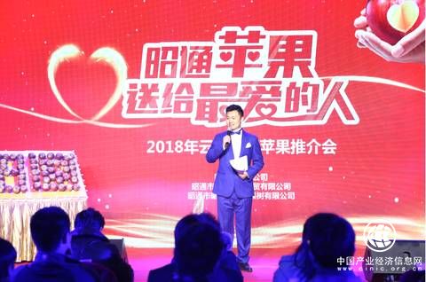 昭通苹果，送给最爱的人