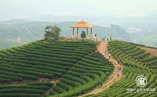 依托大品牌 农业特色小镇田里淘金