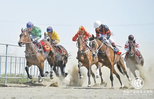 新疆将加快推动马产业转型升级