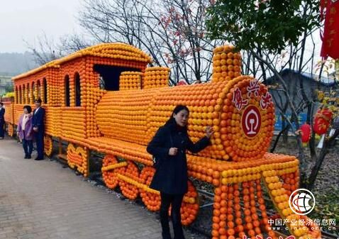 中国芦柑之乡顺昌柑橘红了！柑橘节红红火火