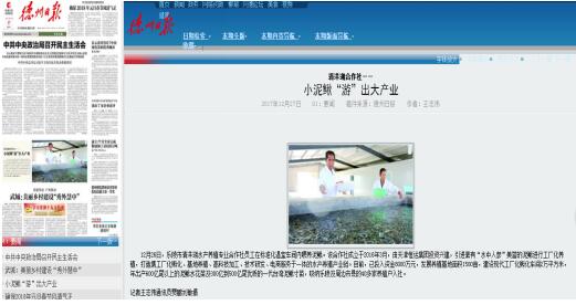 清洋湖合作社——小泥鳅“游”出大产业