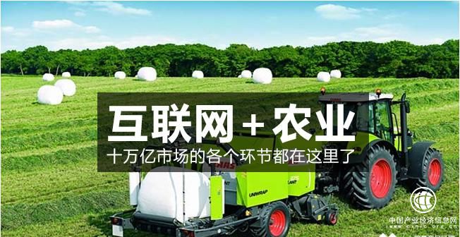 新模式大蓝海 互联网养殖让农户、用户共致富