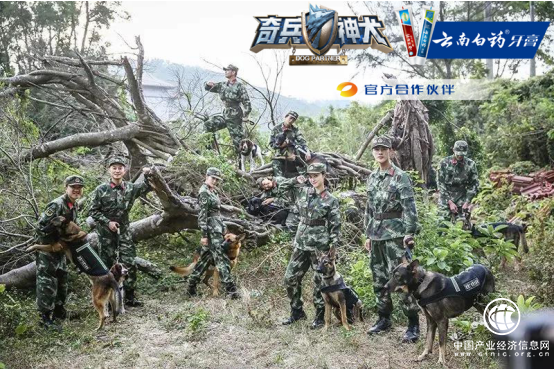 《奇兵神犬》结局篇默契大考验，云南白药牙膏持续陪伴见证成长