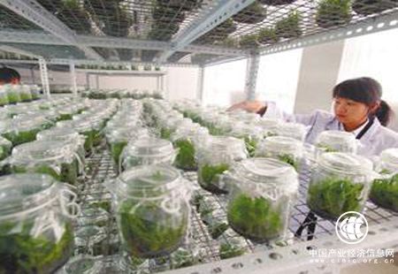 我国生物产业发展迅速 复合增长率达15%以上