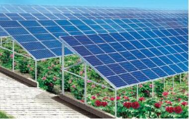 光伏农业前景好 紧跟政策很重要