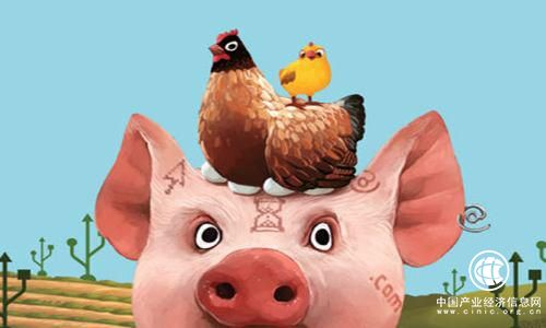 互联网养殖好吃好玩红利多 掀起全民养鸡“热”