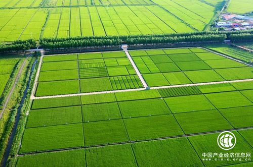 《关于严格核定土地整治和高标准农田建设项目新增耕地的通知》解读