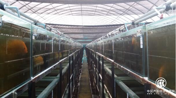 地热循环的一面旗帜——河北省雄县创新农业科技示范园区