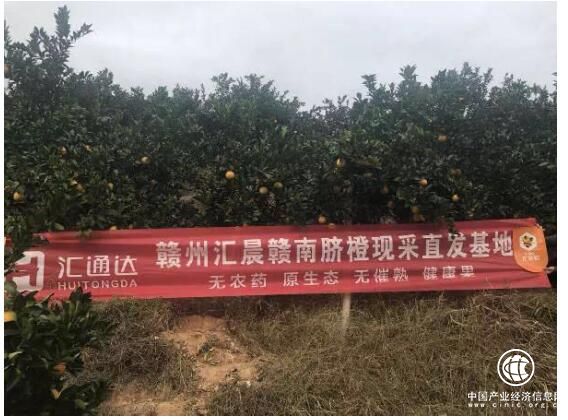 农村生态电商持续赋能 汇通达欲助百县农特产上行