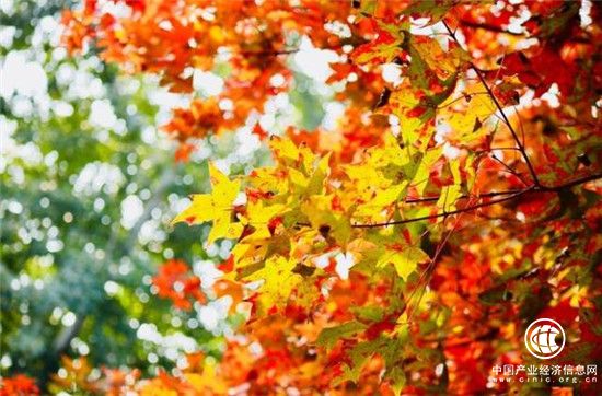 佳能微单EOS M100让你享受旅行拍照技巧