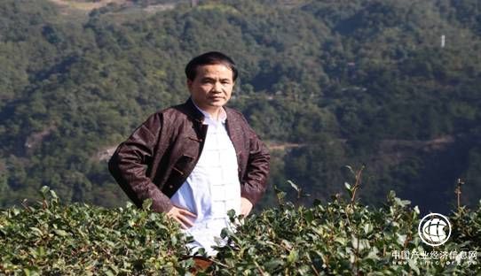 从此，厦门本土有了自己的评茶大师