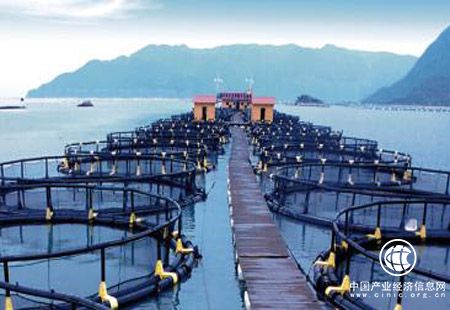 广东惠州市去年海洋产业增加值1330亿元