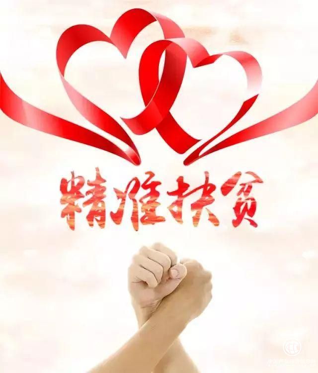 网库观察：农耕文明今何解 产业电商星火点亮扶贫新路