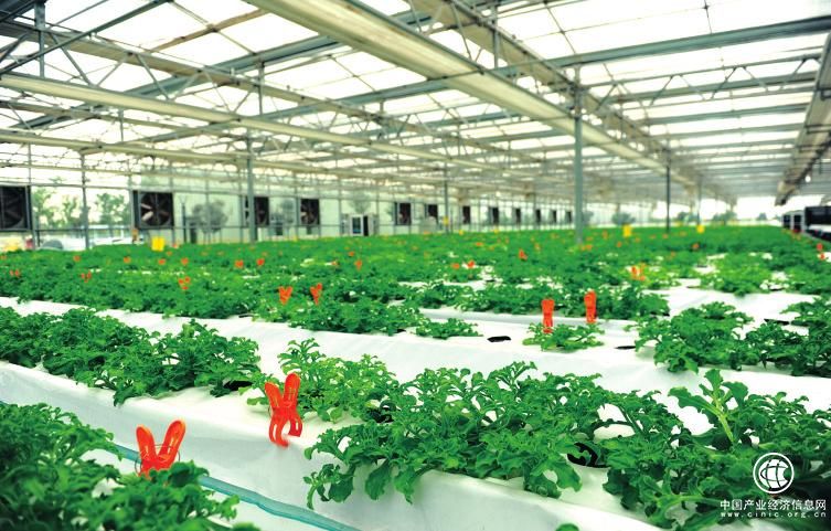 中国农业科技为国际农业合作注入“新力量”