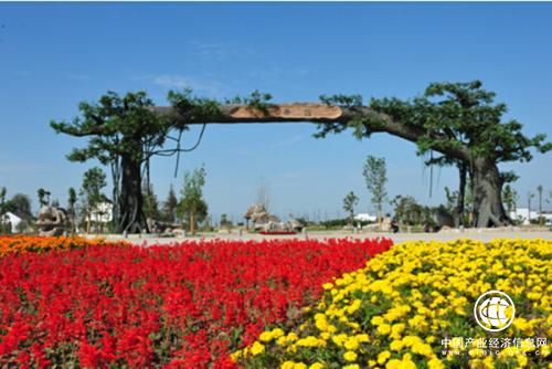 江苏创意农业产业巨大 去年规模超430亿元