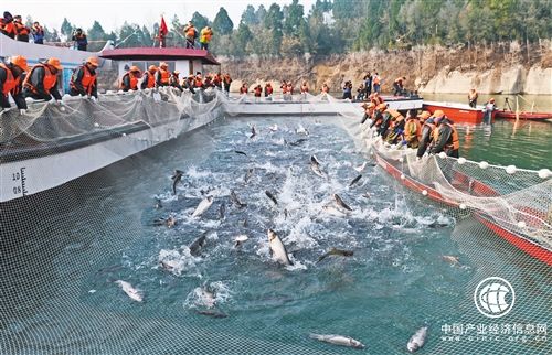 中国渔业何以“减量增收”