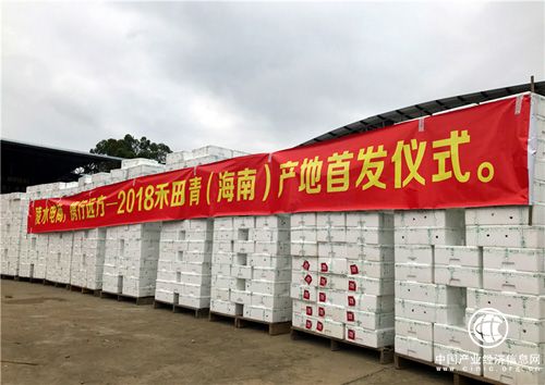 海南陵水：万箱农产品搭上电商快车销往全国