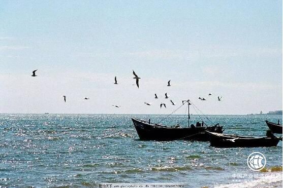 广东南沙将构建休闲渔业民俗文化体验基地