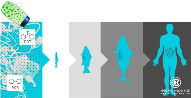 “塑战速决”——代表们呼吁尽快制定政策解决塑料污染问题