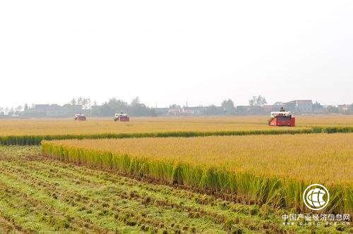 两部委联合发文：土地整治重大工程实行奖补结合先建后奖