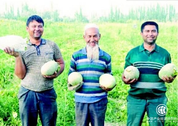 助推乡村振兴和精准脱贫的“阿里农村淘宝模式”