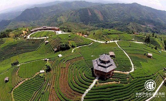 城乡区域发展应该协调联动 坚持优先发展农业和农村