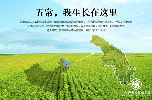 黑龙江：五常大米品牌拉动区域经济发展