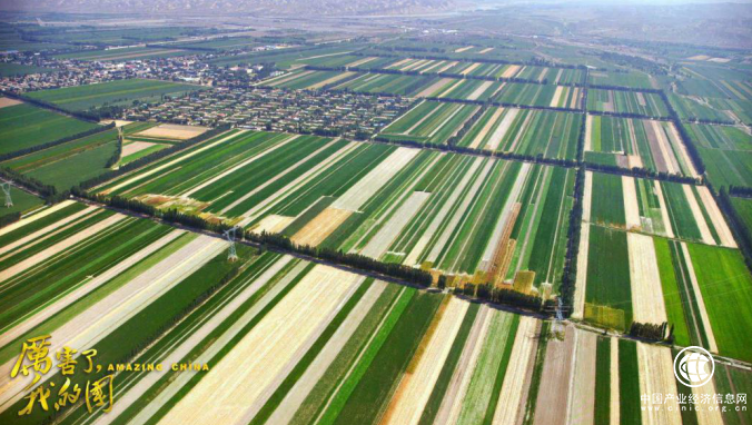 金诚特色小镇的“绿水青山” 为美丽中国再添绿色