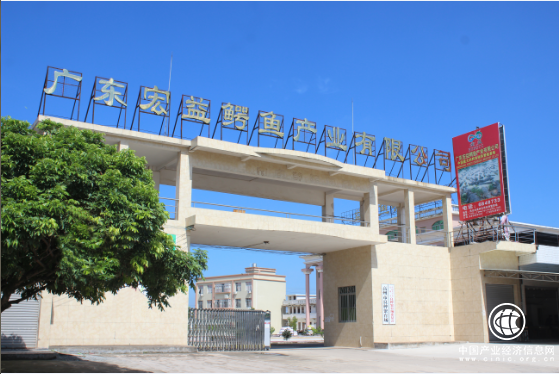 广州鳄霸“海鳄庄园”优势凸显 引领国内鳄鱼产业发展壮大