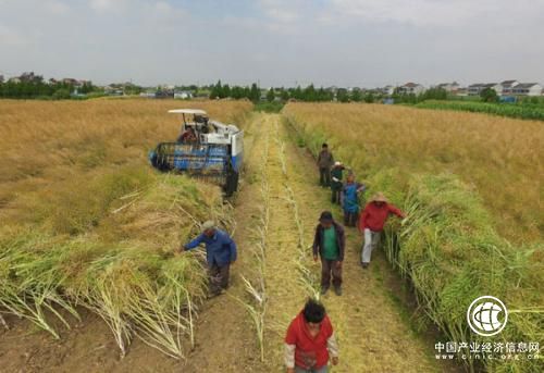 江苏海门走出农作物秸秆综合利用特色路