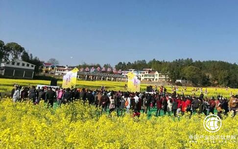 万亩油菜绽放 到江西万安中国农民画之乡看花海