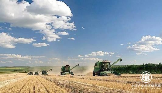 农业也要集结起来抱团出海，走出国门走向国际