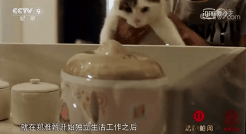 舌尖上的中国天际电器隔水炖1.png