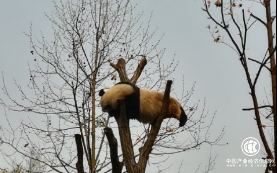 睡眠不足怎么办